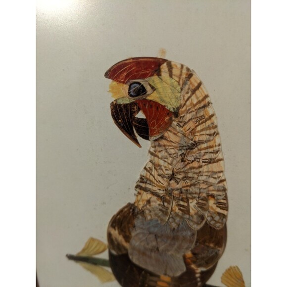 Vtg 70s Parrot Picture Handmade From Butterfly Wings African Art Framed W/Glass - Picture 4 of 10